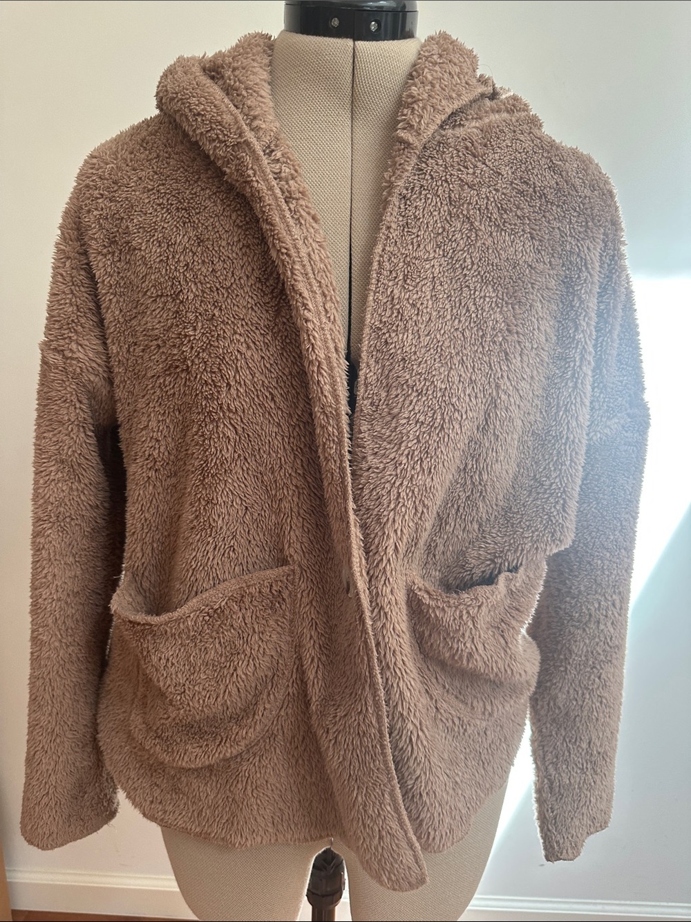 Cozy Hooded Teddy Jacket in Light Brown